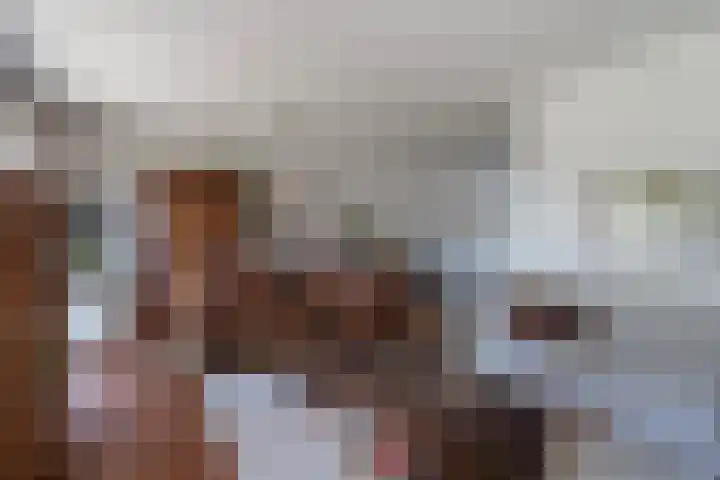 Willem Jehannes Koopmansstrjitte 35 Akkrum thumbnail 11