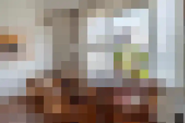 Willem Jehannes Koopmansstrjitte 35 Akkrum thumbnail 16