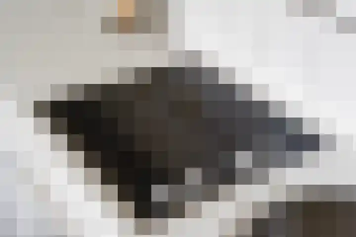 Willem Jehannes Koopmansstrjitte 35 Akkrum thumbnail 20