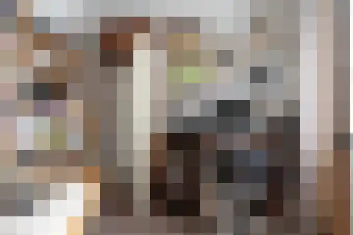 Willem Jehannes Koopmansstrjitte 35 Akkrum thumbnail 28