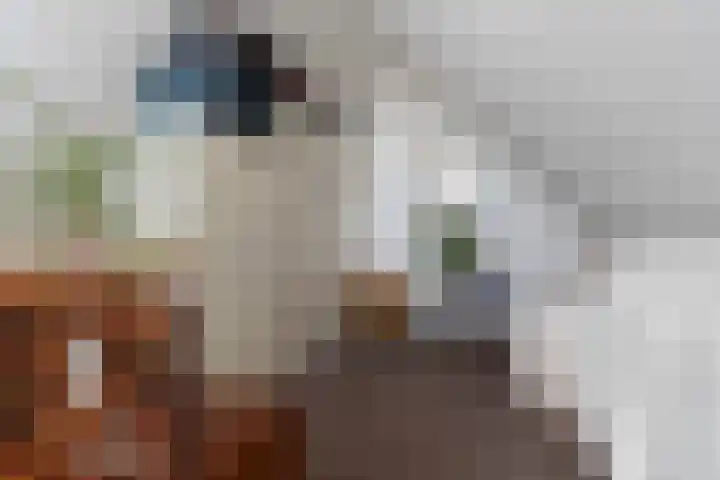 Willem Jehannes Koopmansstrjitte 35 Akkrum thumbnail 33