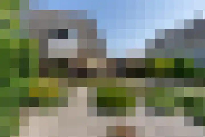 Willem Jehannes Koopmansstrjitte 35 Akkrum thumbnail 36