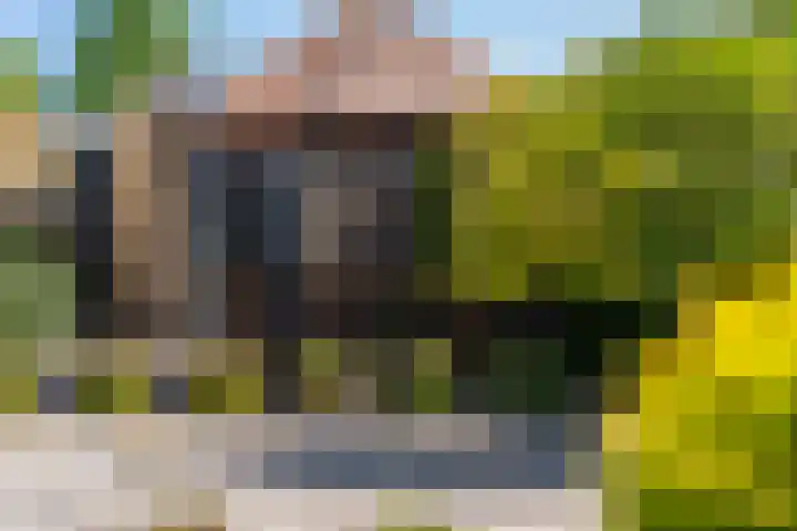 Willem Jehannes Koopmansstrjitte 35 Akkrum thumbnail 39