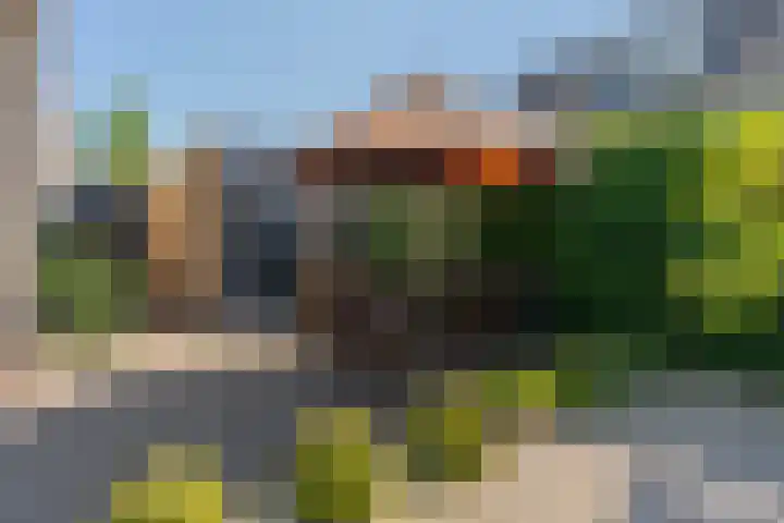 Willem Jehannes Koopmansstrjitte 35 Akkrum thumbnail 41