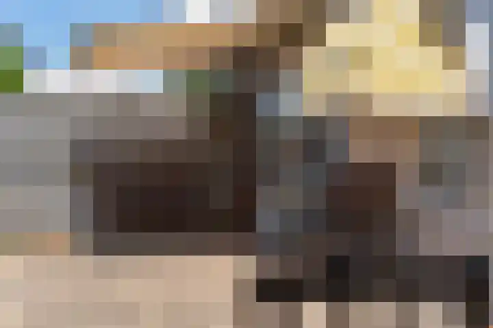 Willem Jehannes Koopmansstrjitte 35 Akkrum thumbnail 42