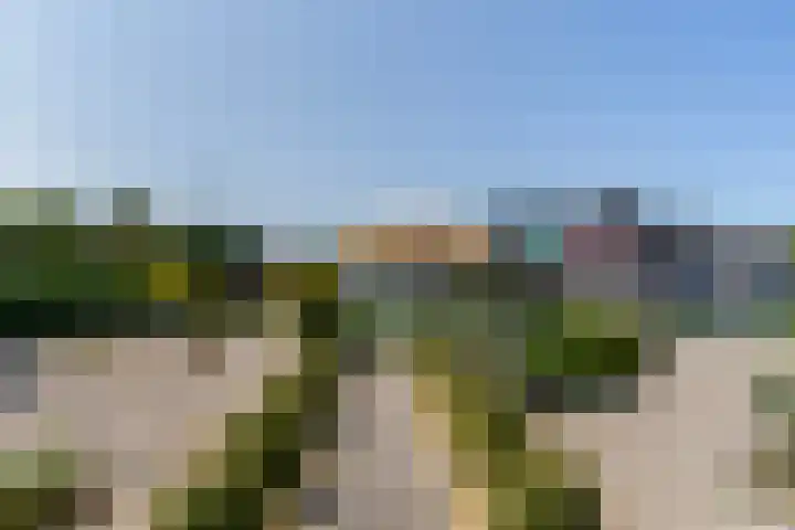 Willem Jehannes Koopmansstrjitte 35 Akkrum thumbnail 43