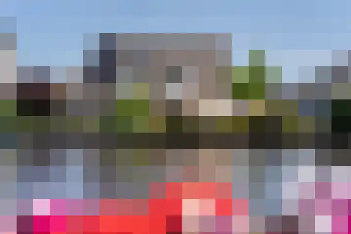 Willem Jehannes Koopmansstrjitte 35 Akkrum thumbnail 48