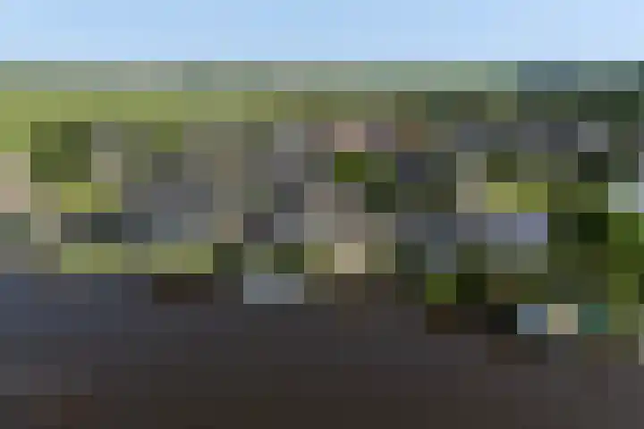 Willem Jehannes Koopmansstrjitte 35 Akkrum thumbnail 54