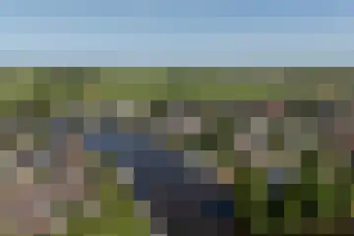 Willem Jehannes Koopmansstrjitte 35 Akkrum thumbnail 55