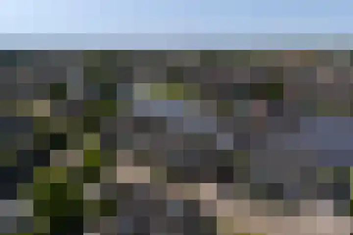 Willem Jehannes Koopmansstrjitte 35 Akkrum thumbnail 57