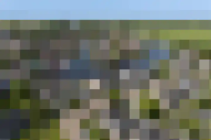 Willem Jehannes Koopmansstrjitte 35 Akkrum thumbnail 58