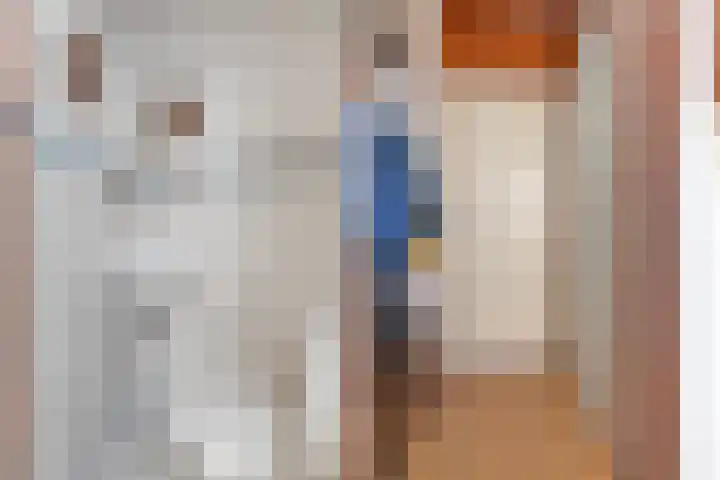 Willem Jehannes Koopmansstrjitte 35 Akkrum thumbnail 8