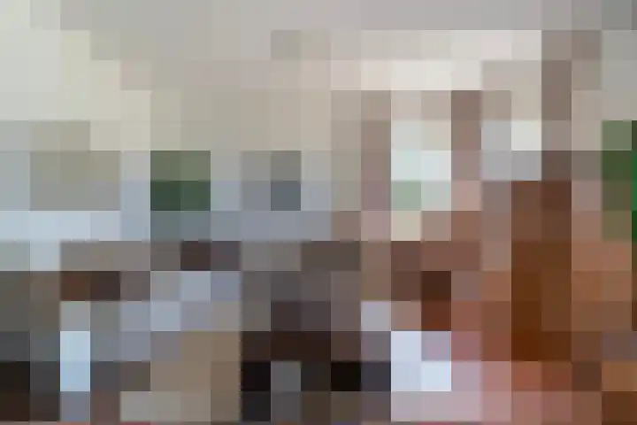 Willem Jehannes Koopmansstrjitte 35 Akkrum thumbnail 9