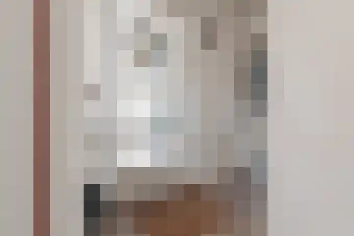 Willem Jehannes Koopmansstrjitte 60 Akkrum thumbnail 12