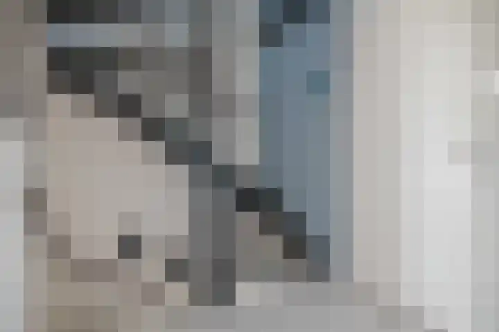 Willem Jehannes Koopmansstrjitte 60 Akkrum thumbnail 28