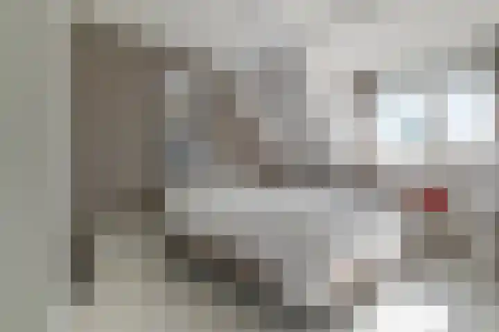 Willem Jehannes Koopmansstrjitte 60 Akkrum thumbnail 31