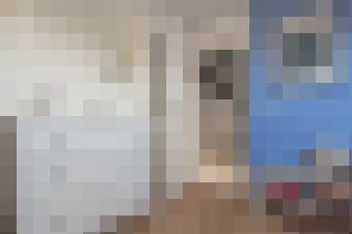 Willem Jehannes Koopmansstrjitte 60 Akkrum thumbnail 35