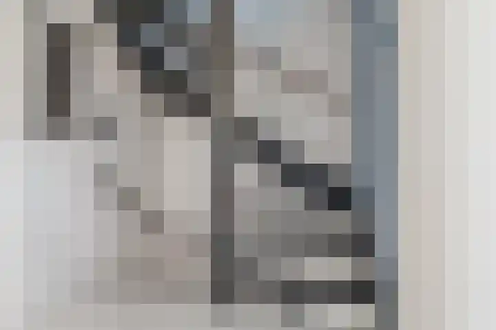 Willem Jehannes Koopmansstrjitte 60 Akkrum thumbnail 38