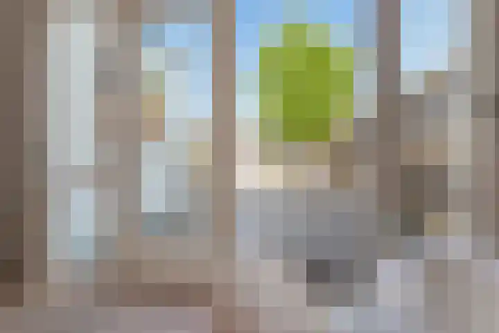 Willem Jehannes Koopmansstrjitte 60 Akkrum thumbnail 4