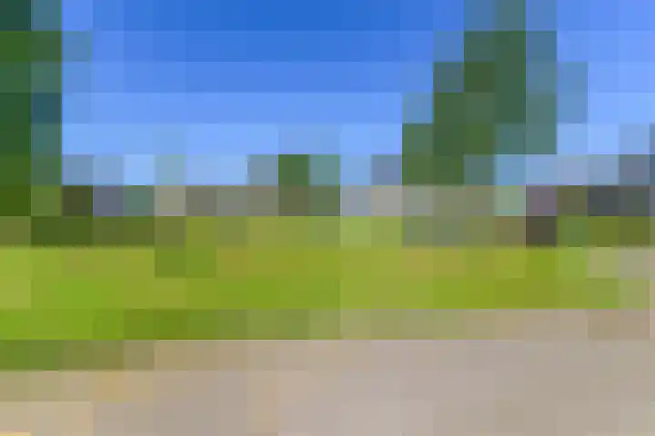 Willem Jehannes Koopmansstrjitte 60 Akkrum thumbnail 45