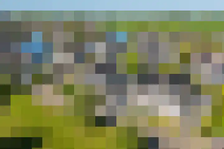 Willem Jehannes Koopmansstrjitte 60 Akkrum thumbnail 48