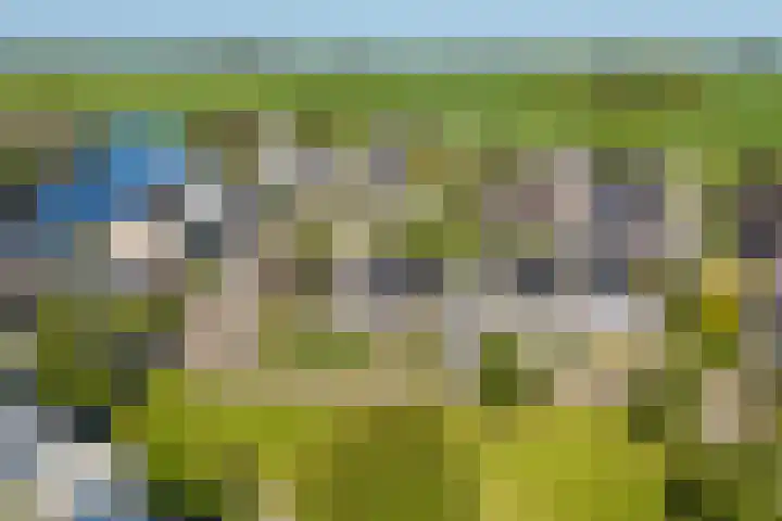 Willem Jehannes Koopmansstrjitte 60 Akkrum thumbnail 49