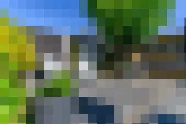 Willem Jehannes Koopmansstrjitte 60 Akkrum thumbnail 5