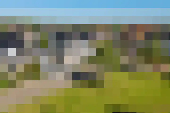 Willem Jehannes Koopmansstrjitte 60 Akkrum thumbnail 50