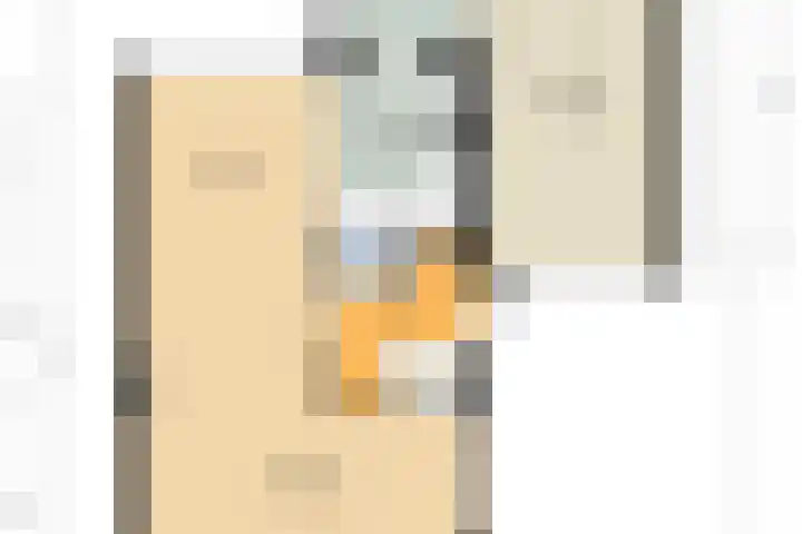 Willem Jehannes Koopmansstrjitte 60 Akkrum thumbnail 51