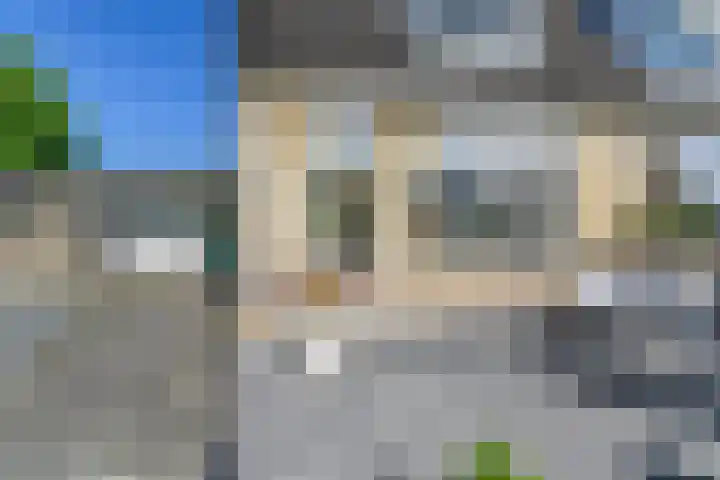 Willem Jehannes Koopmansstrjitte 60 Akkrum thumbnail 7