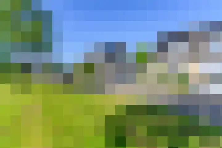 Willem Jehannes Koopmansstrjitte 60 Akkrum thumbnail 8