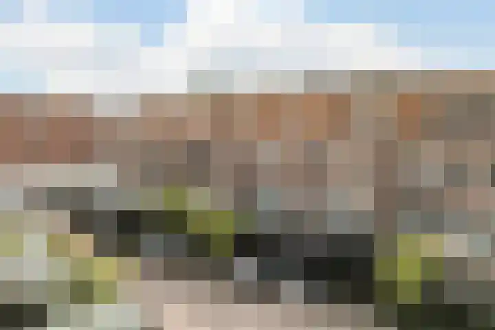 Willem Kalfstraat 154 Alkmaar thumbnail 51