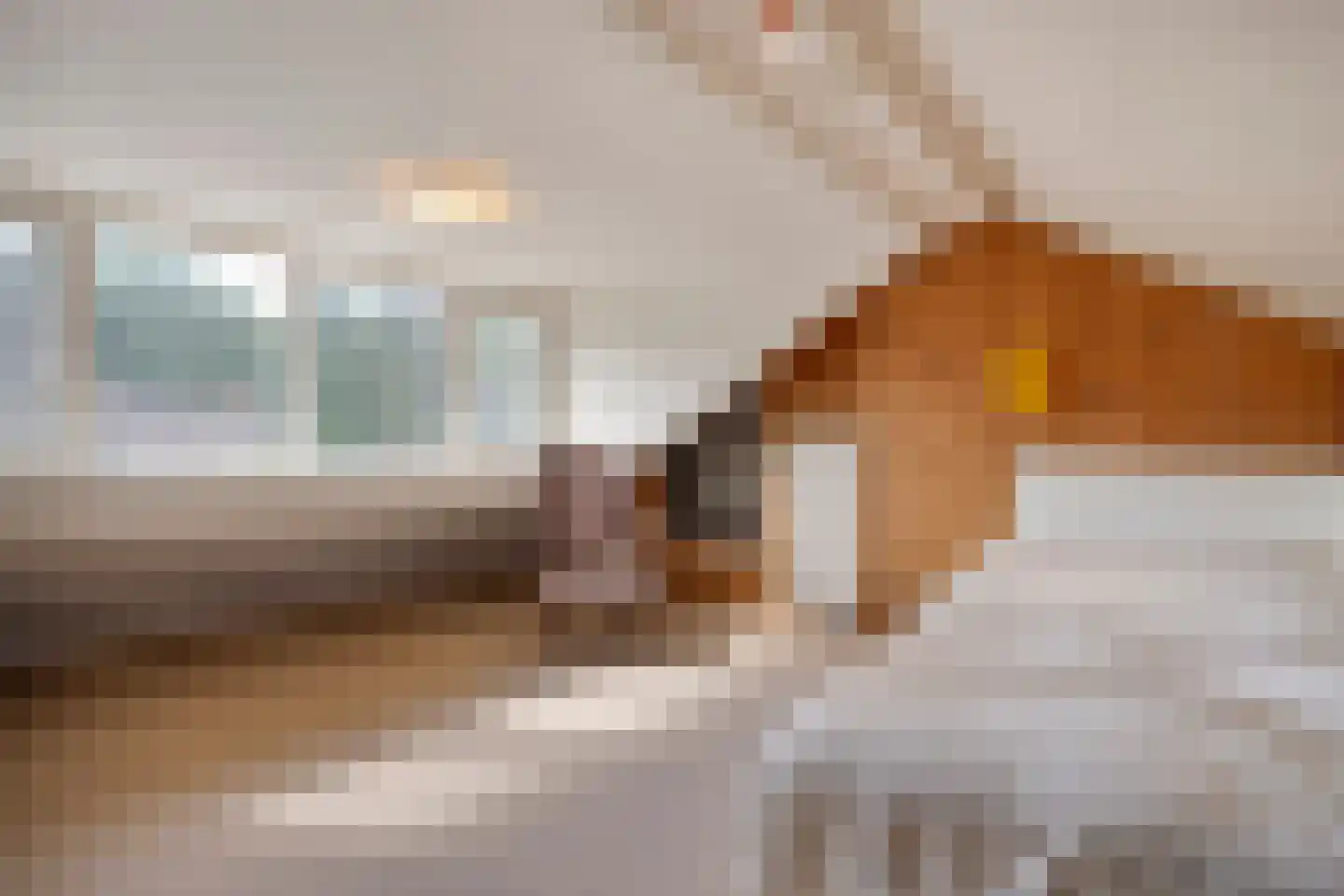 Willem Kalfstraat 17 Enschede thumbnail 33