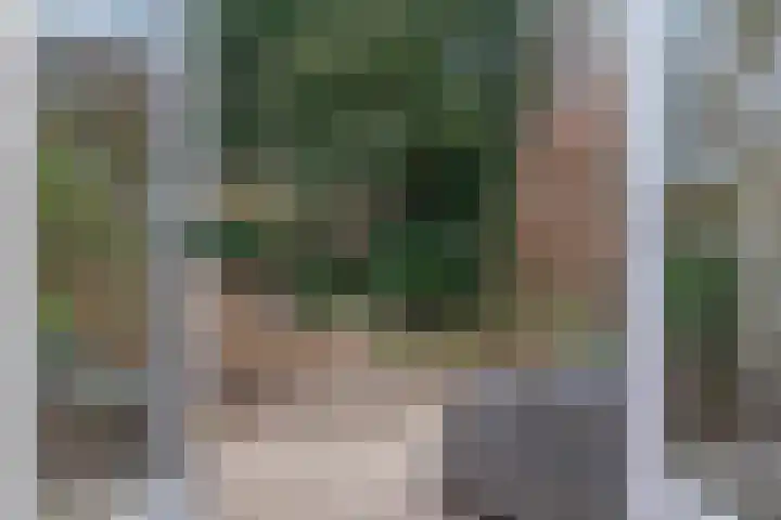 Willem Keslaan 4 Dieren thumbnail 29