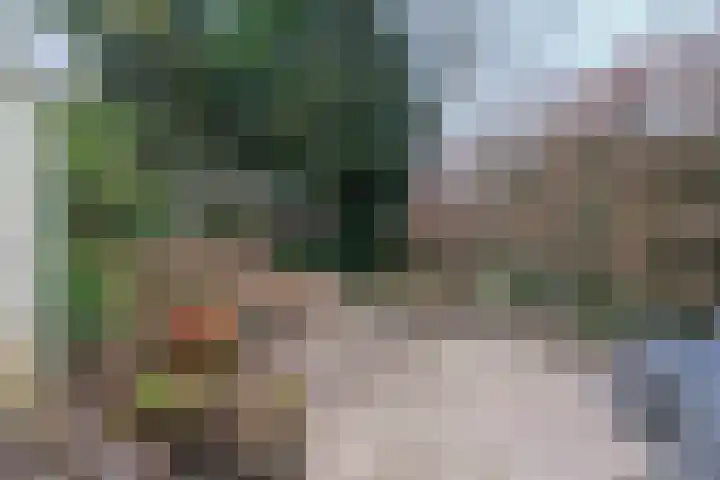 Willem Keslaan 4 Dieren thumbnail 30