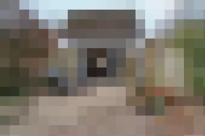 Willem Keslaan 4 Dieren thumbnail 31
