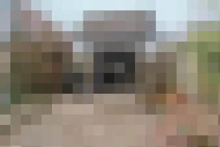 Willem Keslaan 4 Dieren thumbnail 32