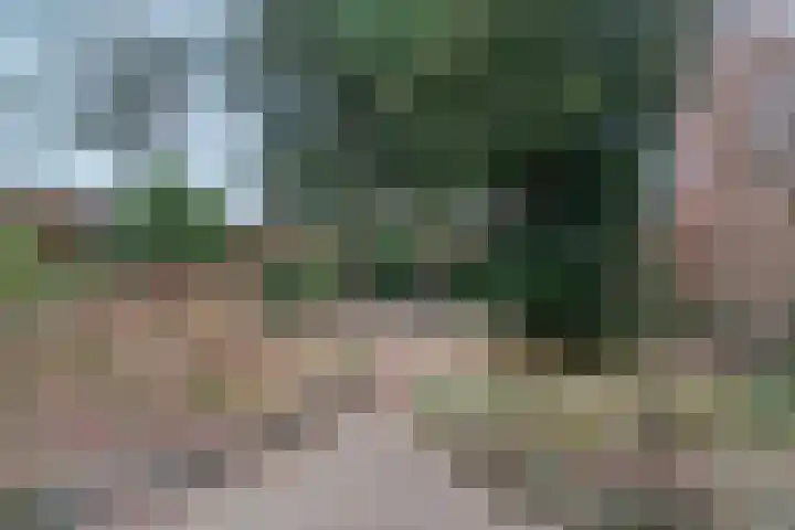 Willem Keslaan 4 Dieren thumbnail 34