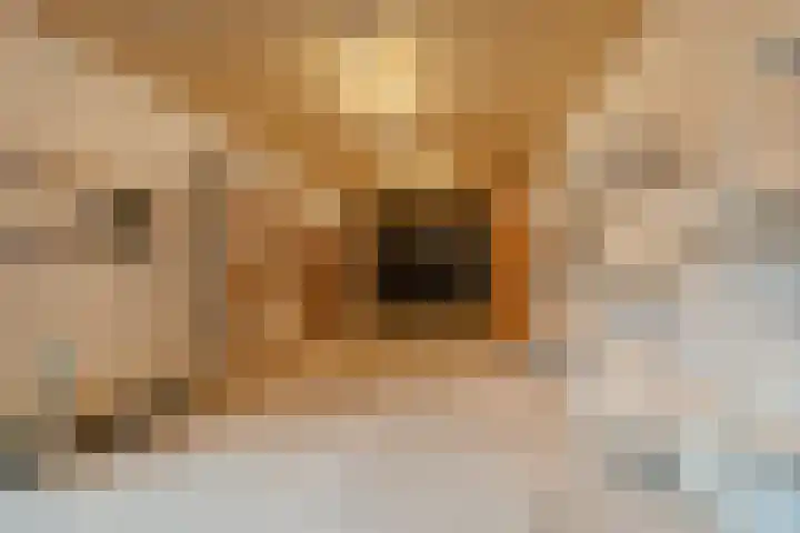 Willem Keslaan 4 Dieren thumbnail 36