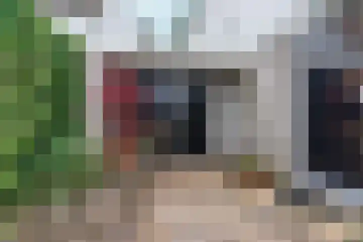 Willem Keslaan 4 Dieren thumbnail 37