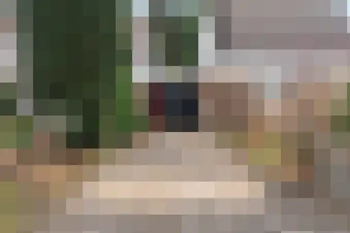 Willem Keslaan 4 Dieren thumbnail 38
