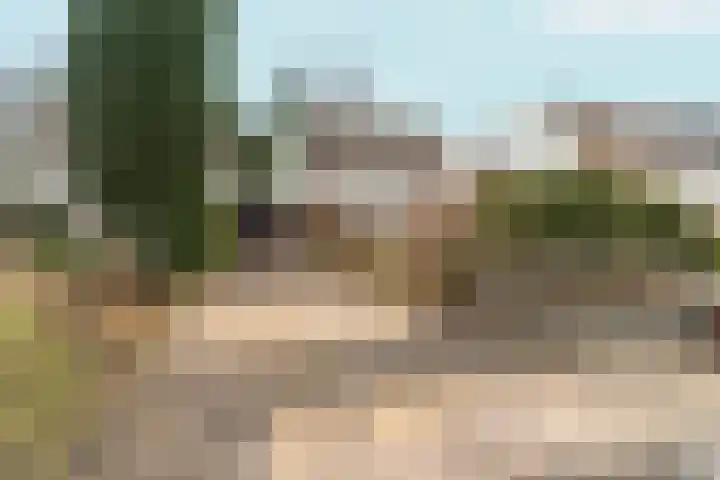 Willem Keslaan 4 Dieren thumbnail 39