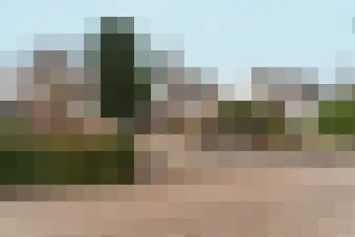 Willem Keslaan 4 Dieren thumbnail 41