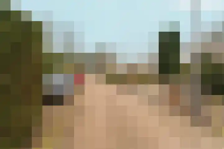 Willem Keslaan 4 Dieren thumbnail 42