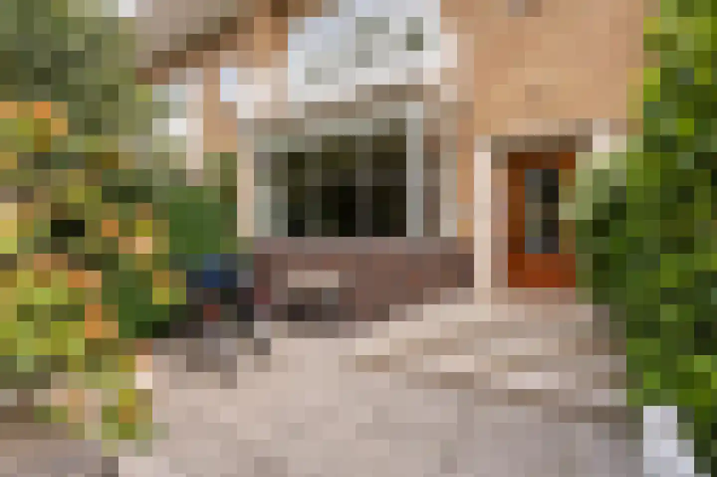 Willem Kesstraat 17 Amsterdam thumbnail 40