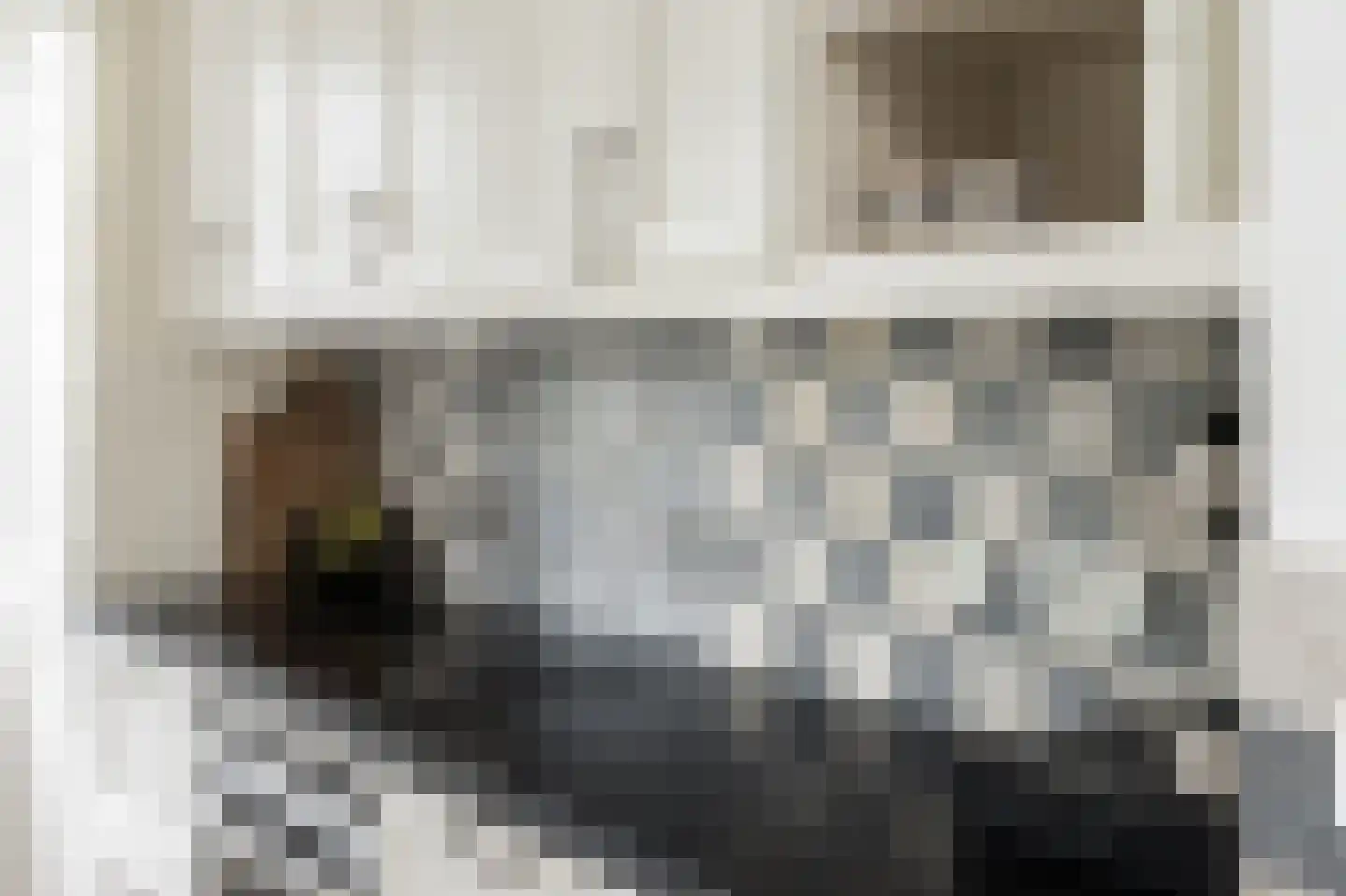 Willem Kesteloostraat 4 Nieuwaal thumbnail 16
