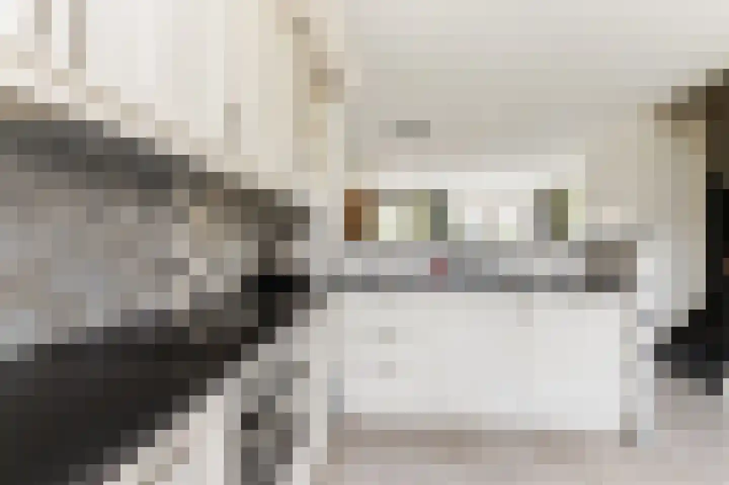 Willem Kesteloostraat 4 Nieuwaal thumbnail 17