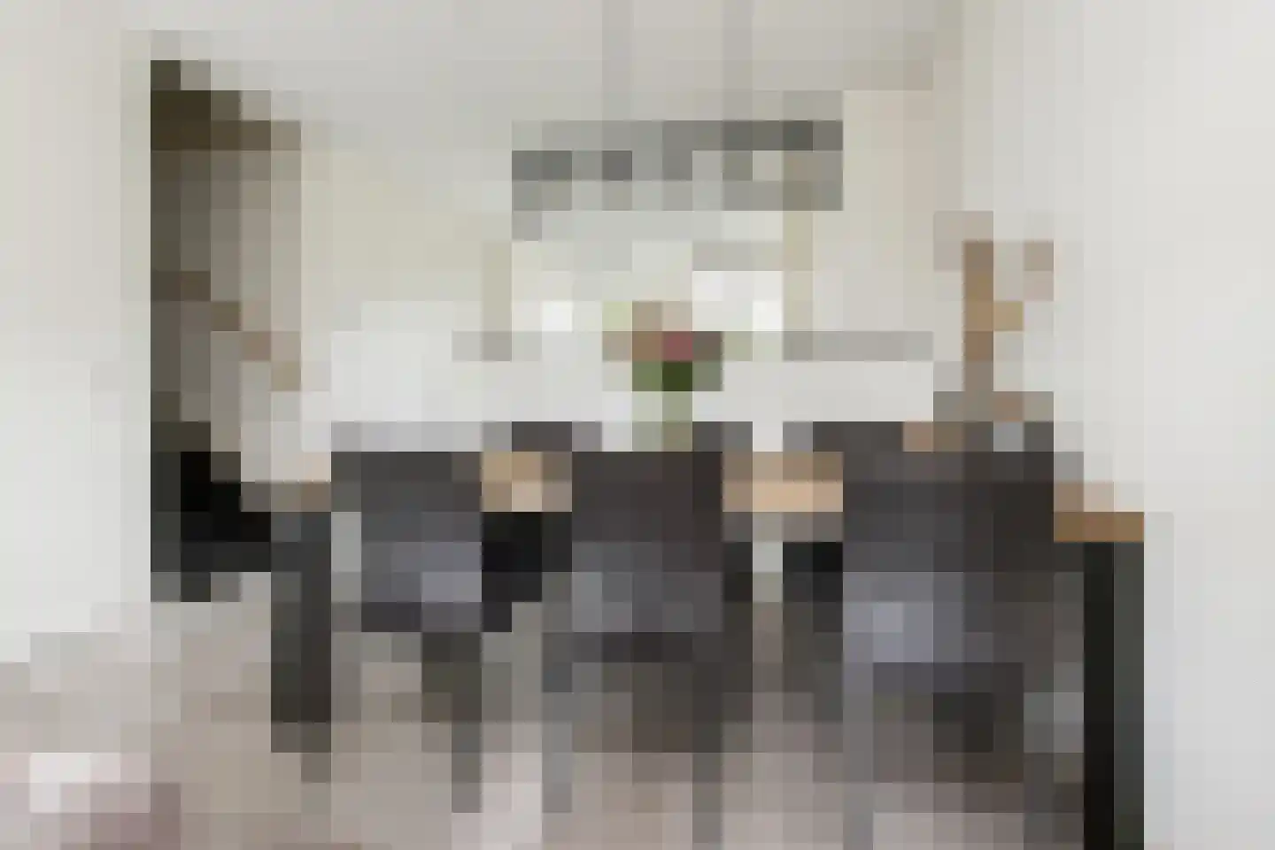 Willem Kesteloostraat 4 Nieuwaal thumbnail 19
