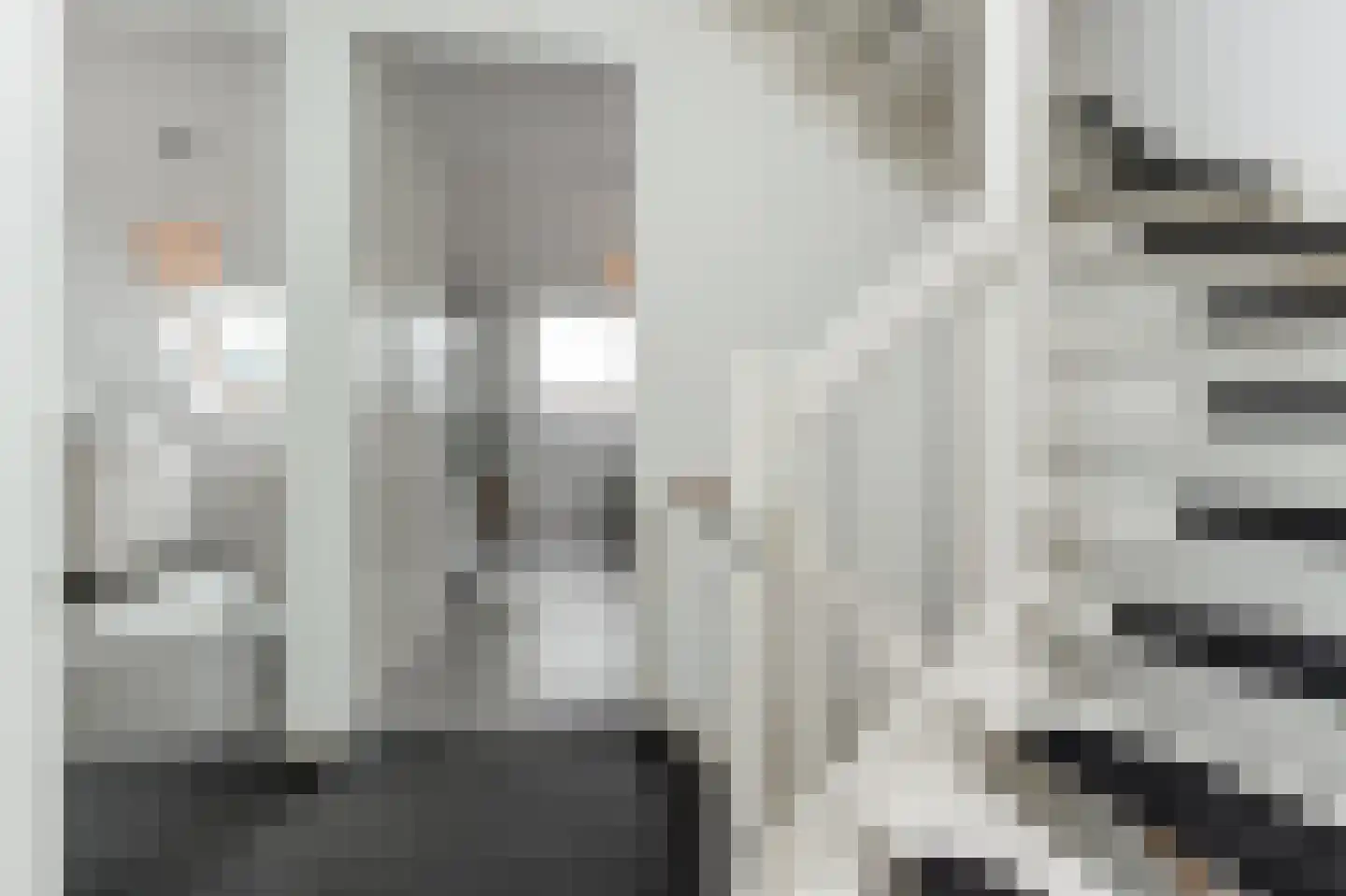 Willem Kesteloostraat 4 Nieuwaal thumbnail 24