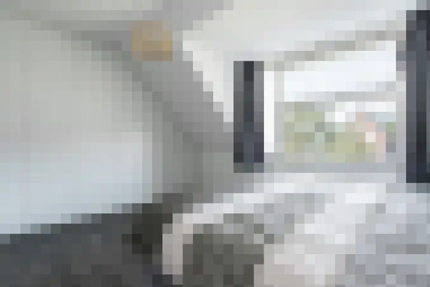 Willem Kesteloostraat 4 Nieuwaal thumbnail 27